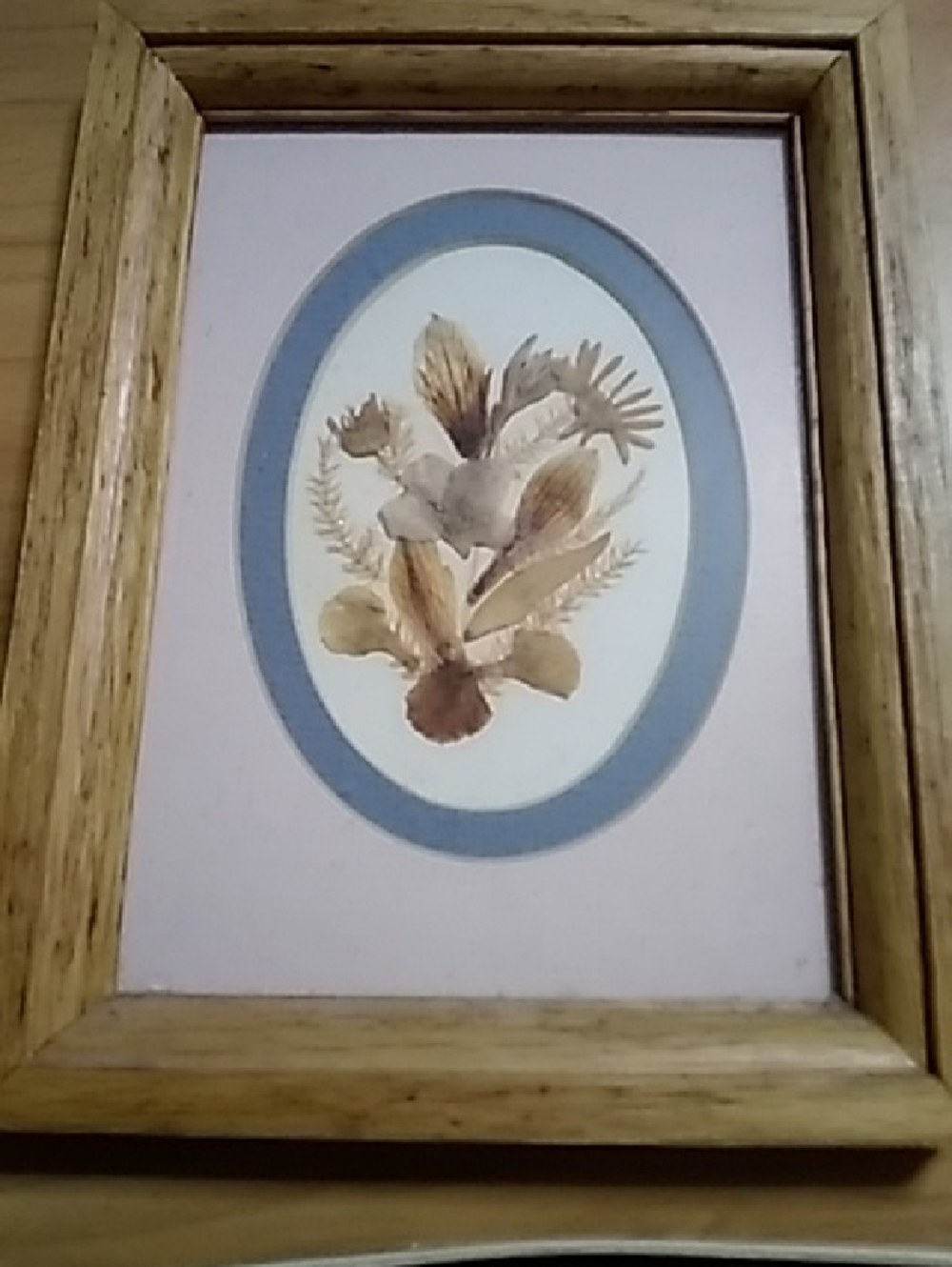 Framed Floral Pressed Flower Art with Blue Oval Mat